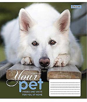 Тетрадь 12 кл. 1В Dog loyality, 765412