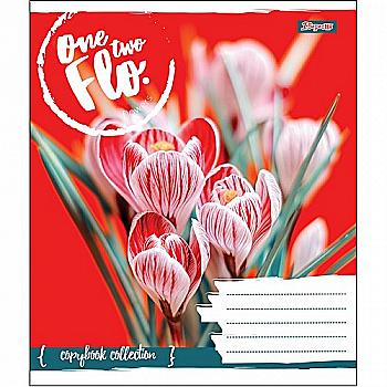 Зошит 24 лін. 1В One Two Flo, 764586 Зошит 24 лін. 1В One Two Flo, 764586