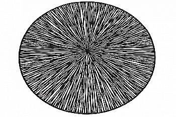 Підтарільник ажурний "Промені" 38 см, чорний, 444-122