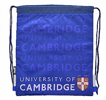 Сумка для обуви SB-10 Cambridge, 40*34, 555325 YES Сумка для обуви SB-10 Cambridge, 40*34, 555325 YES