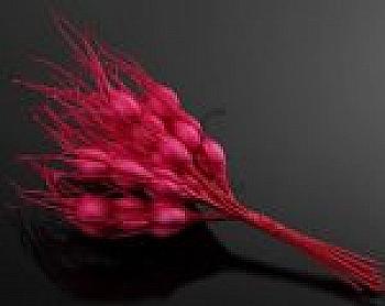 Колоски декоративные, букет из 10 шт, 5-34697