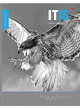 Зошит А4 96 кл. YES Amazing Bird, 891375 (8117) Зошит А4 96 кл. YES Amazing Bird, 891375 (8117)