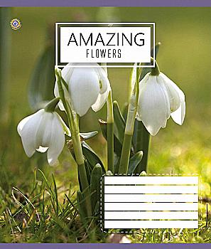 Зошит 60 лін. ЗУ Amazing Flowers -17 (6878) Зошит 60 лін. ЗУ Amazing Flowers -17 (6878)