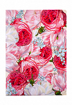 Папка-куточок А4 ROMANCE, рожевий, BM.3966-10 ***