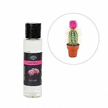 Аромамасло Scentchips 200 мл Цветок кактуса, 256404 Аромамасло Scentchips 200 мл Цветок кактуса, 256404