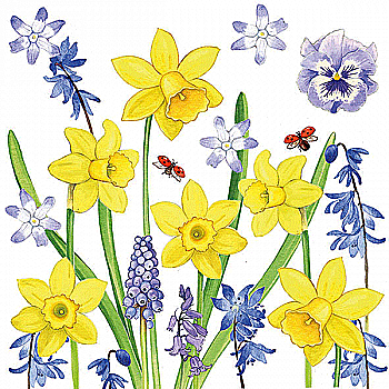 Декупажні серветки "Narcissus Love", 33*33 см, 18,5 г/м², Abiente Декупажні серветки "Narcissus Love", 33*33 см, 18,5 г/м², Abiente