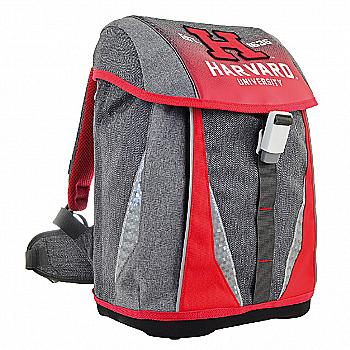 Рюкзак каркасний YES H-32 "Harvard", 35*27*19, 556225