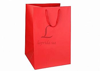 Подарунковий пакет 28*42*28 см, 31-4774