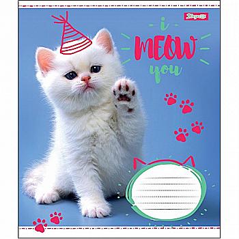 Зошит 18 кл. 1В I Meow You, 764521 Зошит 18 кл. 1В I Meow You, 764521