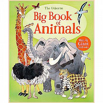 Книга "Big book of Big Animals" (а) (8953) Книга "Big book of Big Animals" (а) (8953)