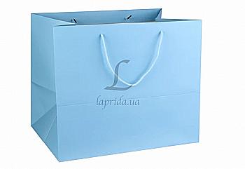 Подарунковий пакет 31*37*26 см, 31-4675