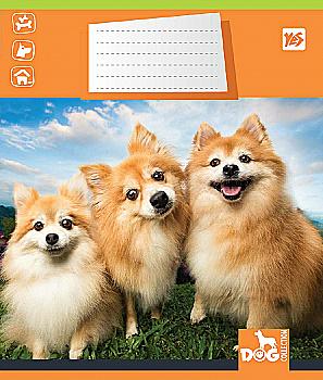 Зошит 12 лін. YES Dog Collection -18, 761370 (4439) Зошит 12 лін. YES Dog Collection -18, 761370 (4439)