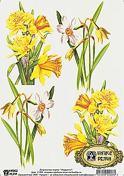 Карта декупажна "Нарциси", Vintage Design