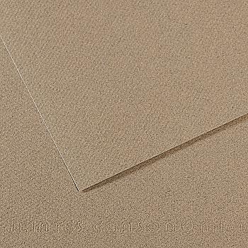Папір для пастелі MI-TEINTES 50*65 см 160 г/м2 №429, сірий серпанок Canson Папір для пастелі MI-TEINTES 50*65 см 160 г/м2 №429, сірий серпанок Canson