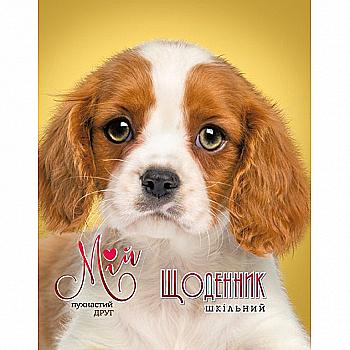 Щоденник шкільний, 48 арк, матова ламінація, диз 21246, ДН031/5 (0239) Щоденник шкільний, 48 арк, матова ламінація, диз 21246, ДН031/5 (0239)