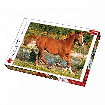 Пазл "500" - Краса галопу, Trefl, 37184 Пазл "500" - Краса галопу, Trefl, 37184