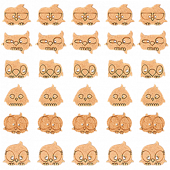 Набор деревянных заготовок-пуговок "Craizy birds" (30 шт), FLC-013(S)