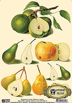 Карта декупажна А4 Яблуки і груші, 40 г/м², S 019