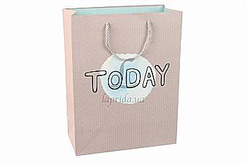 Подарунковий пакет 25,5*12*33 см, 3-181-315