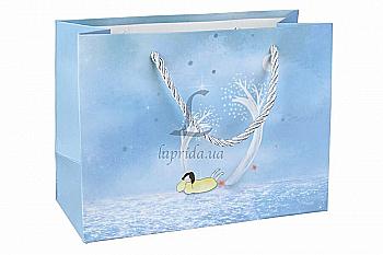 Подарунковий пакет 19,5*14,5*8,5 см, 31-1964