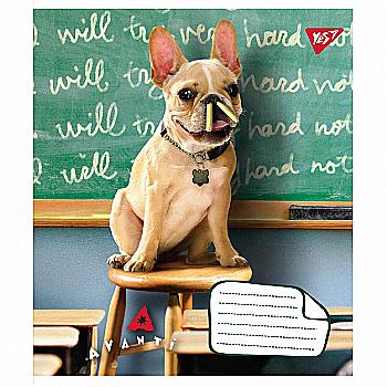 Зошит 24 кл. YES Crazy fun, 765616 Зошит 24 кл. YES Crazy fun, 765616