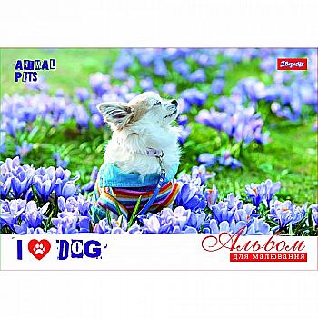 Альбом для рисования А4 20 л. скоба (д) 1 Вересня (3036)