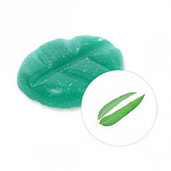 Аромасвічка Scentchips Eucalyptus/Евкаліпт, 251305 Аромасвічка Scentchips Eucalyptus/Евкаліпт, 251305