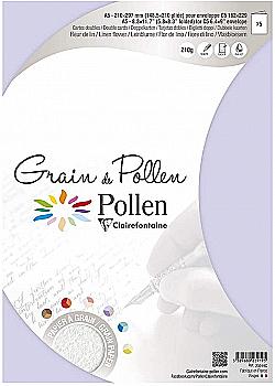 Заготовка д/открыток сложенная зернистая Pollen 148,5*210 мм/210 г, Linen flower/Цветок льна, 23919C Заготовка д/открыток сложенная зернистая Pollen 148,5*210 мм/210 г, Linen flower/Цветок льна, 23919C