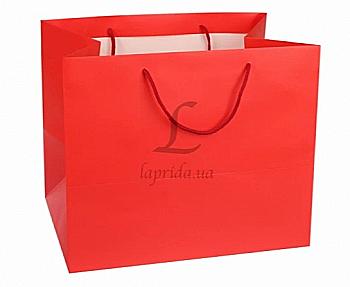 Подарунковий пакет 31*37*26 см, 31-4668 Подарунковий пакет 31*37*26 см, 31-4668