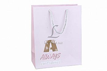 Подарочный пакет 24,5*19,5*9,5 см, 31-1773