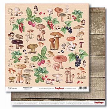 Бумага для скрапбукинга 30,5х30,5 см 190 гр/м двухсторон. В лесу. Грибы и ягоды (10)