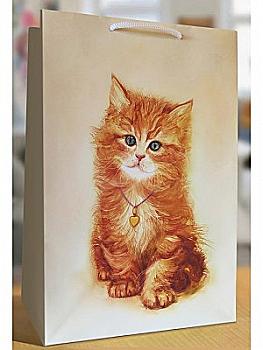 Пакет 180*255*100, AC010 Пакет 180*255*100, AC010