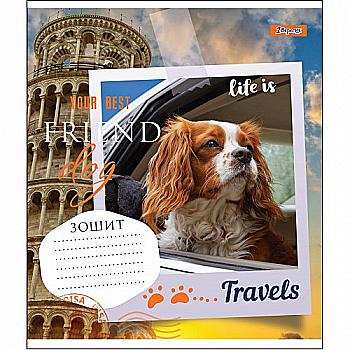 Зошит 36 кл. 1В Your Best Friend, 764602 Зошит 36 кл. 1В Your Best Friend, 764602