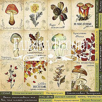 Картки "Botany autumn" (рос.) Картки "Botany autumn" (рос.)
