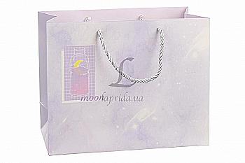 Подарочный пакет 25,4*20*9,5 см, 31-1902