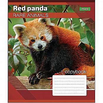 Зошит 24 кл. 1В Rare animals, 764563 Зошит 24 кл. 1В Rare animals, 764563