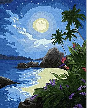 Набір для розпису по номерах 40*50 см "Місячна ніч", KHO2730