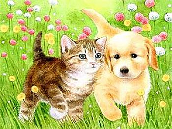 Набір для розпису по номерах 40*50 см "Песик та кошеня", RA30359 Набір для розпису по номерах 40*50 см "Песик та кошеня", RA30359