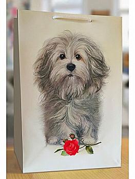 Пакет 233*330*106, AD009 Пакет 233*330*106, AD009