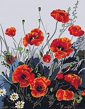 Картина по номерам 40*50 см "Красочные маки", 13105-AC