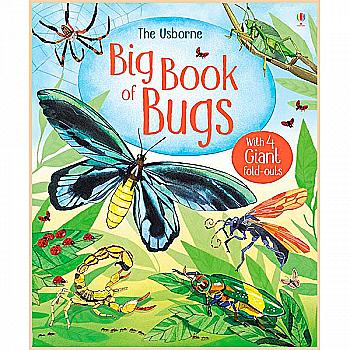 Книга "Big book of Big Bugs" (а) Книга "Big book of Big Bugs" (а)