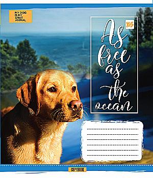 Зошит 24 лін. YES Dogs&Water -18, 761899 (8598) Зошит 24 лін. YES Dogs&Water -18, 761899 (8598)