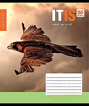 Зошит 18 кл YES Bird fly-17, 760991 (0783) Зошит 18 кл YES Bird fly-17, 760991 (0783)