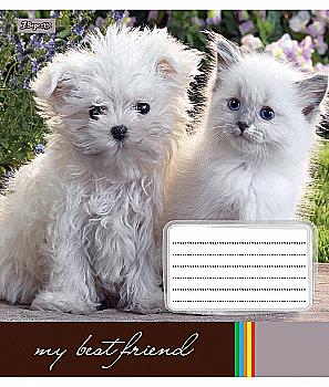 Зошит 48 лін. 1В Best Friend -17, 760172 (0739) Зошит 48 лін. 1В Best Friend -17, 760172 (0739)