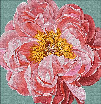 Набір для розпису по номерах 40*40 см "Pink kiss", KHO2952