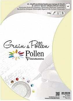 Заготовка д/открыток сложенная зернистая Pollen 148,5*210 мм/210 г, Lime juice/Лаймовый сок, 23940C Заготовка д/открыток сложенная зернистая Pollen 148,5*210 мм/210 г, Lime juice/Лаймовый сок, 23940C