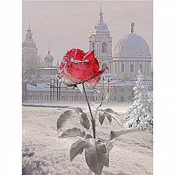 Набір для розпису по номерах 40*50 см "Троянда", 5447 Набір для розпису по номерах 40*50 см "Троянда", 5447