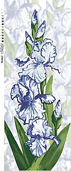 Заготовка бисерная для вышивки "Ирисовое счастье", ТК012ан3795