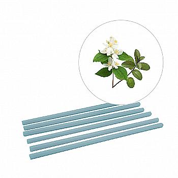Воскова ароматична паличка Scentchips Jasmine & Patchouli/Жасмін та Пачулі, 254712 Воскова ароматична паличка Scentchips Jasmine & Patchouli/Жасмін та Пачулі, 254712