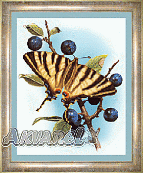 Схема для вышивания бисером СБ-030 21*26,5 см на авторской канве ТМ "Чарівна мить"